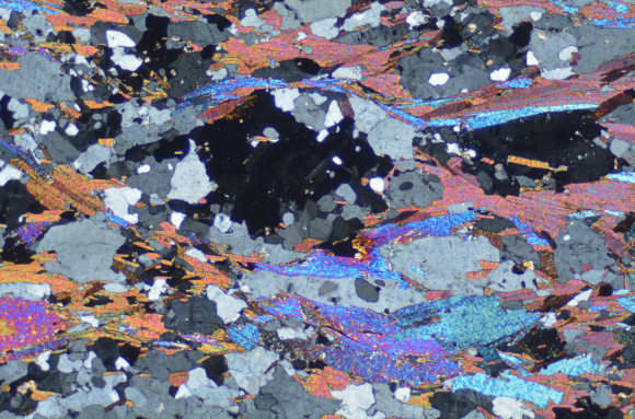 Gneiss à 2 micas (Bas Limousin) LPA x10